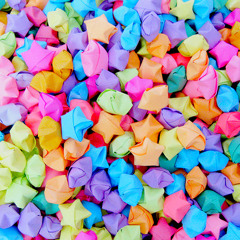 Ellen Catherine Wise