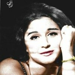 Nourhan Shams