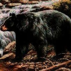 My thoughts out loud at Porter meadows