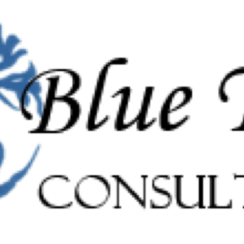 Blue Tree Consulting’s avatar