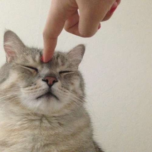 Stream fwa music Listen to songs, albums, playlists for free on