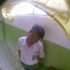 steven ferdinand