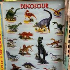 Timothy Donald Hounsell