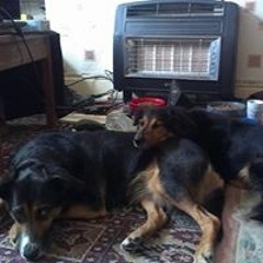 Antonia Louise Watkinson