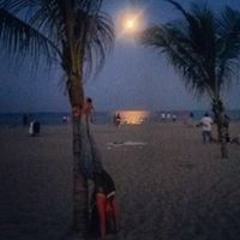 Dominiquea Castronovo