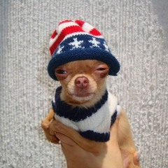 captain_kc