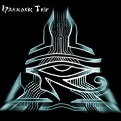 Harmonik Trip (Official)