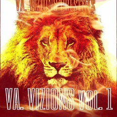 VA Vizions