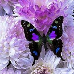 Lucy Rodriguez Torres