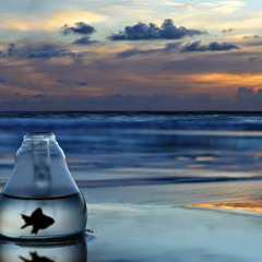 Audiomachine - An Unfinished Life [Pandora Siren Version]