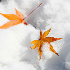 Makoto Yoshimori – Randoseru No Koro Ni