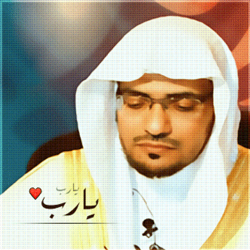 Saleh Al-Maghamsi’s avatar