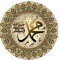 user16624332