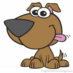 fidog