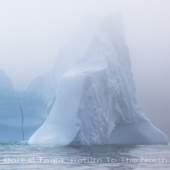 Boreal Taiga 3
