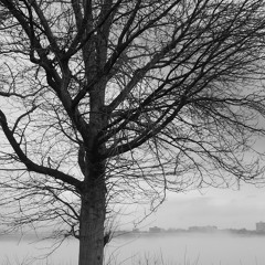 Dead Battery Collection