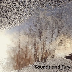 Sounds and Fury