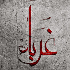 Ahmed Bakr