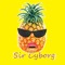 Sir Cyborg