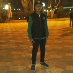 Abdellrahman Elgendy