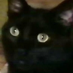 Jana Humpherys Price