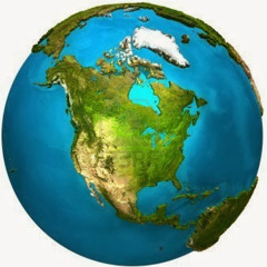 Priscillia Merifield