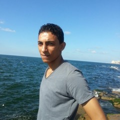 hamdy mo