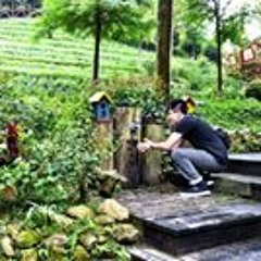 Darren Lim Wei Cheng