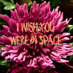 I Wish You Were In Space