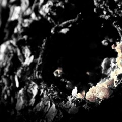 Tshombe Mozae Jackson