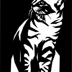 Cat Spy