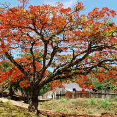 pa las mmds que se abienten