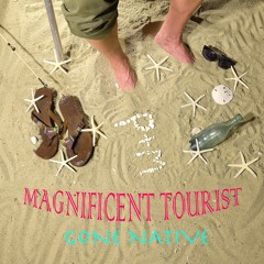 Magnificent Tourist