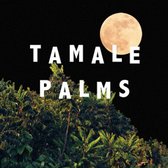 tamale palms