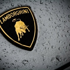 Lamborghini Gallardo XXX