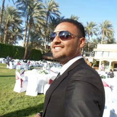 MT.elmasry