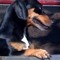 Brady Sanders 1