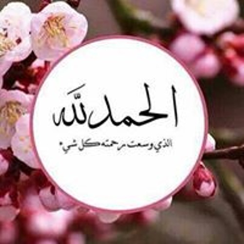 Habib Elomre’s avatar