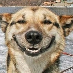 Grzegorz Brzęczyszczykiewicz