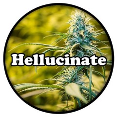 Hellucinate