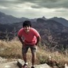 Cristhian Silva Flores