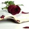user2552468
