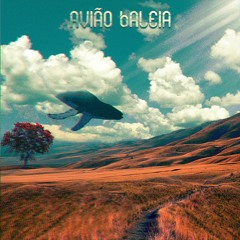 Aviao Baleia