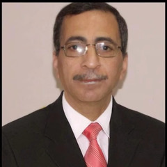 Hassan Abdelaty
