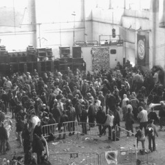 Alexandre Marques 43