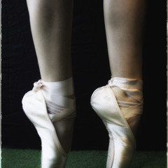 Marjolein Borglevens