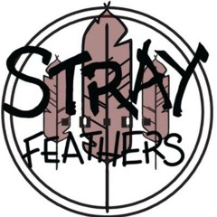 Stray Feathers