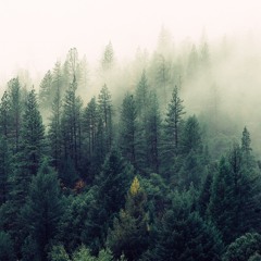 Victor Kyllingstad 1