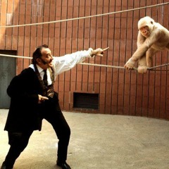 conscious primate