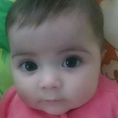 Craigus Maximus Palmer